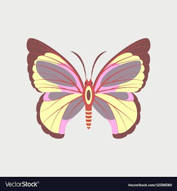 Colorful icon of butterfly isolated on white vector image
