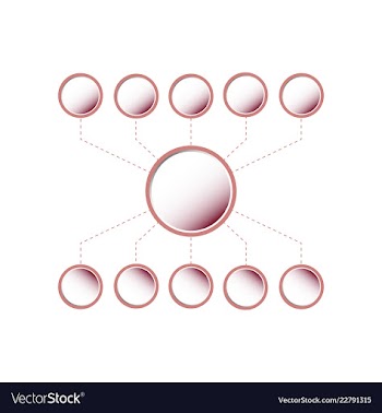 Colorful infographic process chart and arrows vector image