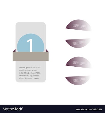 Colorful infographic process chart and arrows vector image