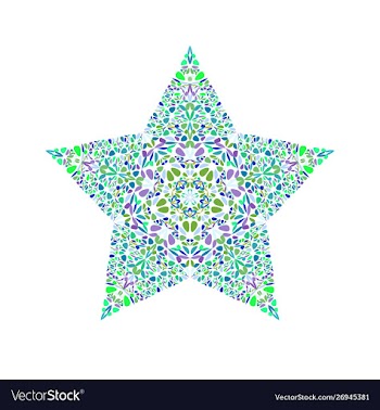 Colorful isolated abstract floral ornament star vector image