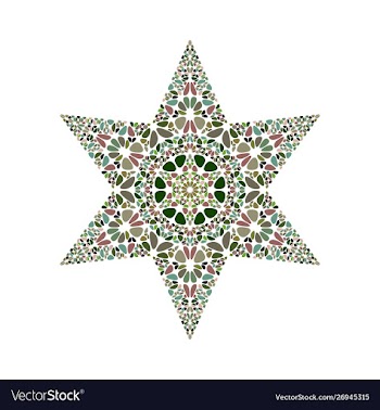 Colorful isolated abstract gemstone ornament star vector image