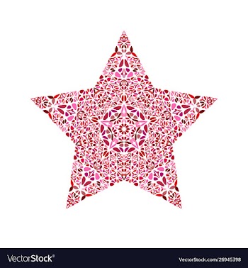 Colorful isolated floral mosaic ornament star vector image
