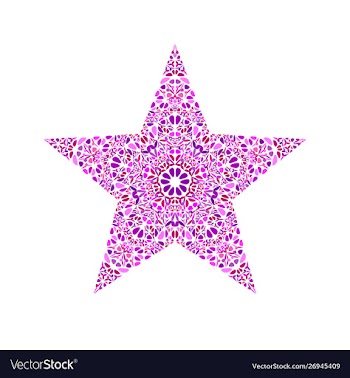 Colorful isolated floral mosaic ornament star vector image