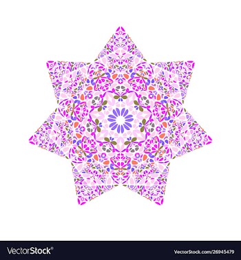 Colorful isolated floral mosaic ornament star vector image
