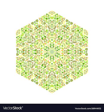 Colorful isolated geometrical floral hexagon logo vector image