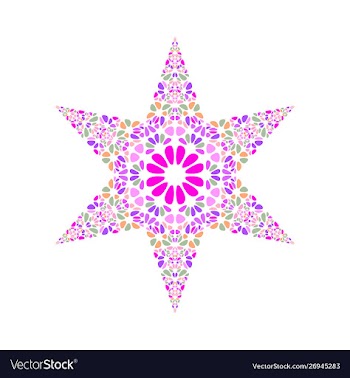 Colorful isolated geometrical petal ornament star vector image