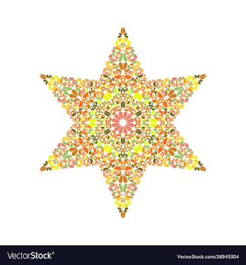 Colorful isolated geometrical petal ornament star vector image