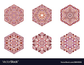 Colorful isolated geometrical petal ornament vector image