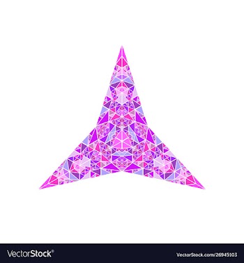 Colorful isolated polygonal mosaic ornament star vector image