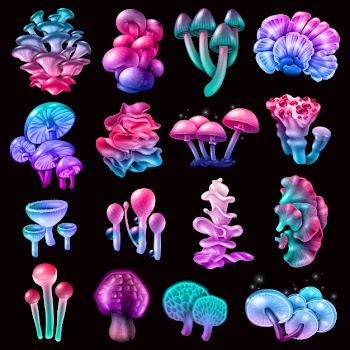 Colorful magic mushrooms collection Free Vector