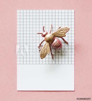 Colorful miniature fly on a paper