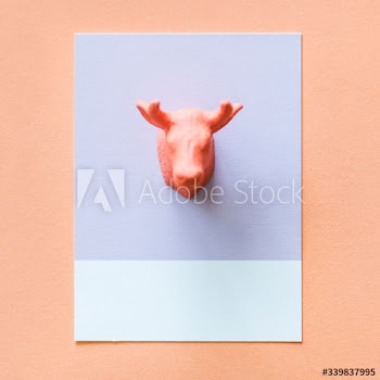 Colorful moose figure on a paper