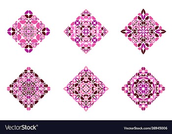 Colorful ornate flower diagonal square symbol vector image
