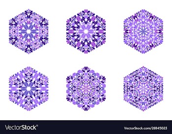 Colorful ornate isolated floral ornament hexagon vector image
