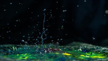 Colorful Paint Splatter Photography