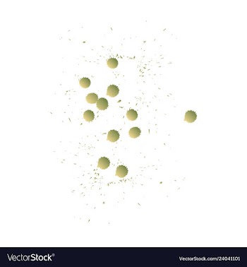 Colorful paint splatterspaint splashes set vector image