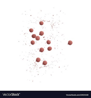 Colorful paint splatterspaint splashes set vector image