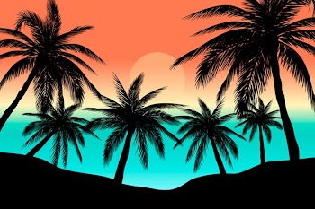 Colorful palm silhouettes design Free Vector
