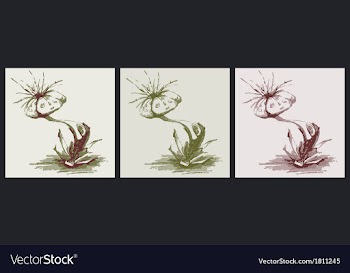Colorful pastel flowers vector image