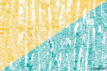 Colorful patterned wallpaper