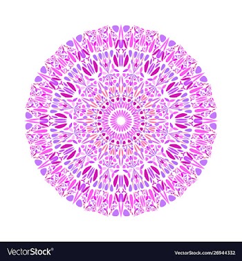 Colorful round abstract flower pattern mandala vector image