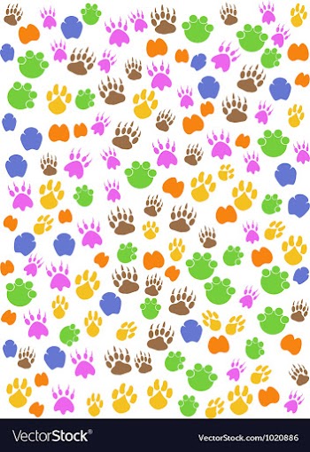 Colorful seamless animals footprint vector image