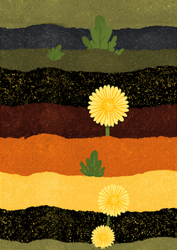 Colorful Soil Layers with Dandelions
