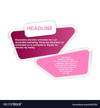 Colorful statistics template growth chart vector image