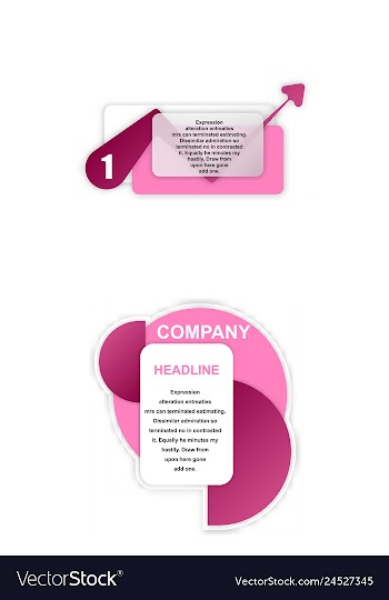Colorful statistics template growth chart vector image