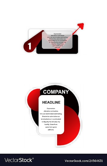 Colorful statistics template growth chart vector image