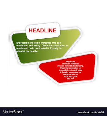 Colorful statistics template growth chart vector image