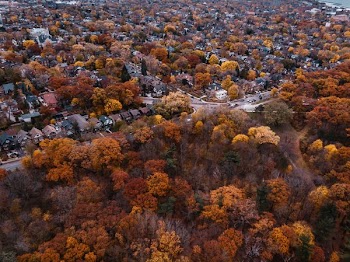 Colorful Trees Surrounding Houses