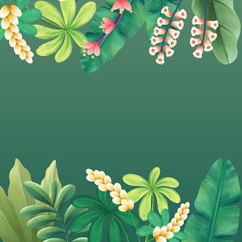 Colorful tropical border background, green | Free Photo Illustration - rawpixel