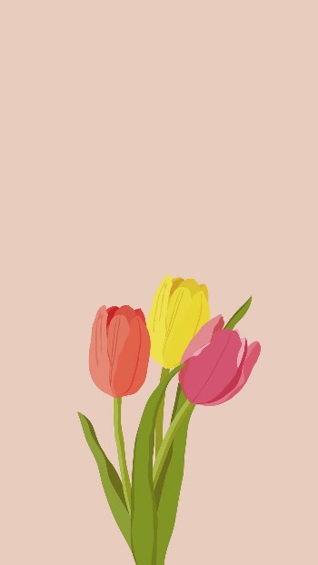 Colorful tulips iPhone wallpaper, pink | Free Photo Illustration - rawpixel
