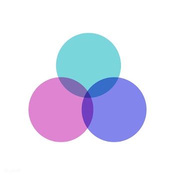 Colorful venn diagram infographic vector | Free stock vector - 495508