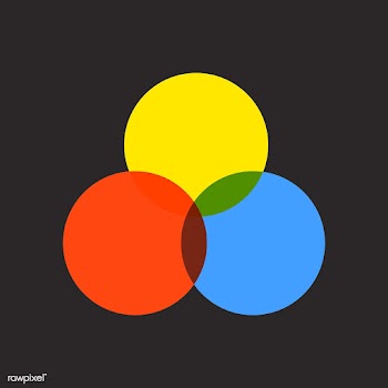 Colorful venn diagram infographic vector | Free stock vector - 495560