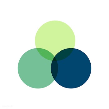 Colorful venn diagram infographic vector | Free stock vector - 495620