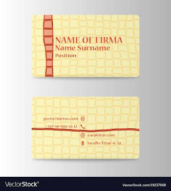 Colorful visit card for business in individual vector image