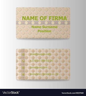 Colorful visit card for business in individual vector image