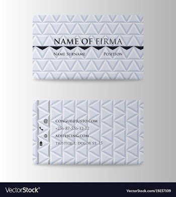 Colorful visit card for business in individual vector image