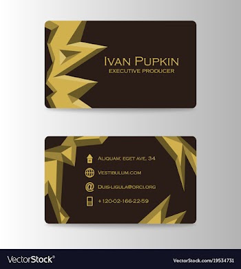 Colorful visit card for business in individual vector image