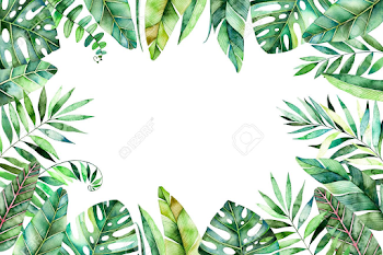 Colorful Watercolor Frame Border With Colorful Tropical Leaves ...