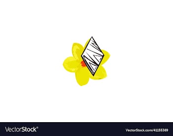 colorful yellow chamomile flower