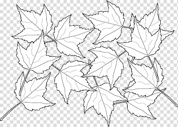 Coloring book Autumn leaf color Adult Child, autumn transparent background PNG clipart