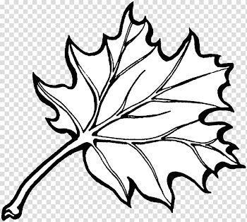 Coloring book Autumn leaf color, autumn transparent background PNG clipart