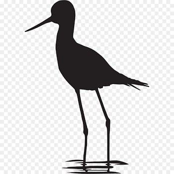 Coloring book Black and white Bird Crocodile Paint - backyard button 
