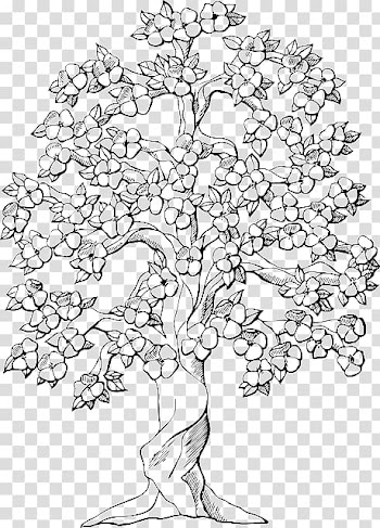 Coloring book Colouring Pages Tree Oak Trunk, eating grapes sketch transparent background PNG clipart