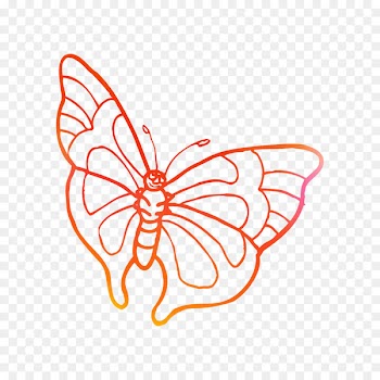 Coloring book Drawing Butterfly Zentangle Ausmalbild -  