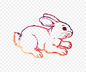 Coloring book Drawing Mammal Image How To Draw Animals -  