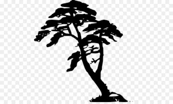 Coloring Book, Iphone 6 Plus, Connect The Dots, Tree, Leaf PNG